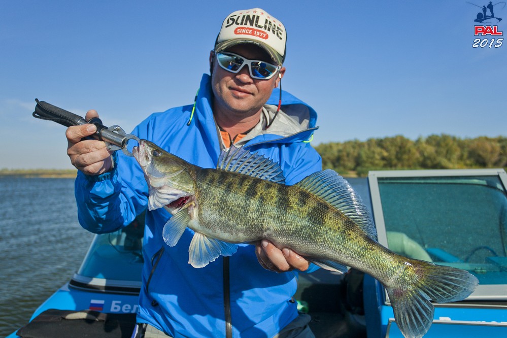 Дневник третьего этапа турнира Pro Anglers League 2015. Галерея фото 5