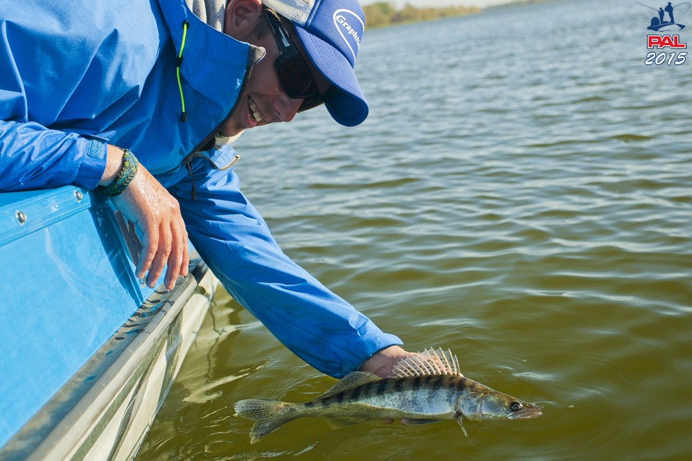 Дневник третьего этапа турнира Pro Anglers League 2015. Галерея фото 7