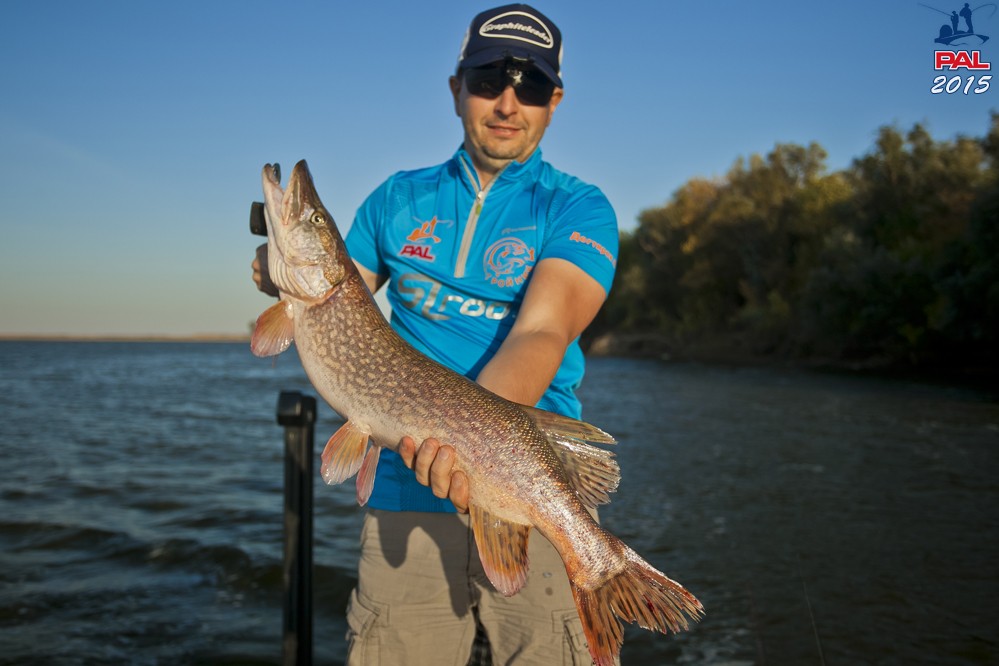 Дневник третьего этапа турнира Pro Anglers League 2015. Галерея фото 20