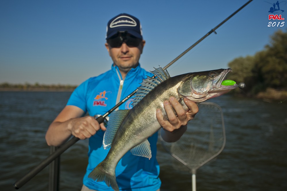 Дневник третьего этапа турнира Pro Anglers League 2015. Галерея фото 23