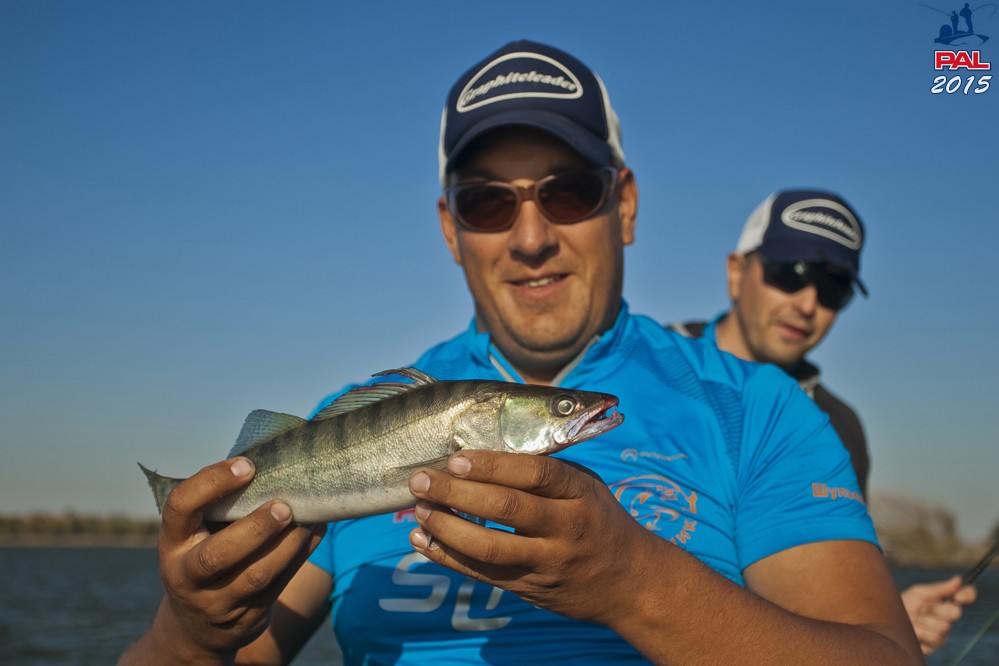 Дневник третьего этапа турнира Pro Anglers League 2015. Галерея фото 24