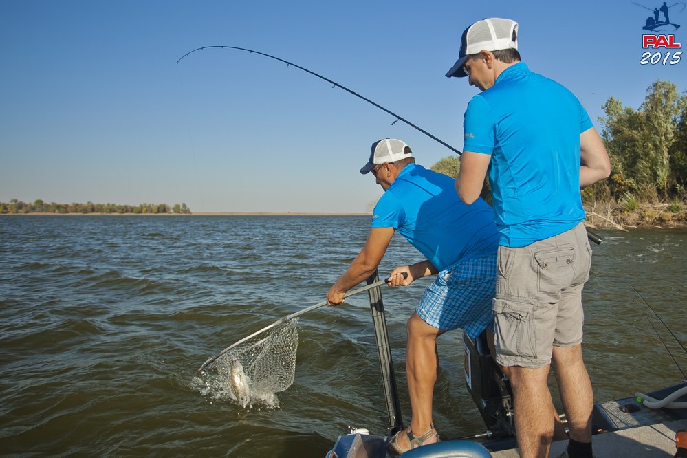 Дневник третьего этапа турнира Pro Anglers League 2015. Галерея фото 25