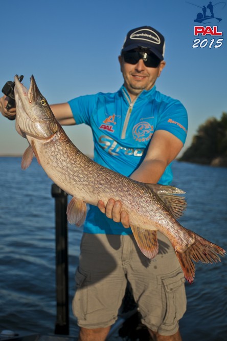 Дневник третьего этапа турнира Pro Anglers League 2015. Галерея фото 28