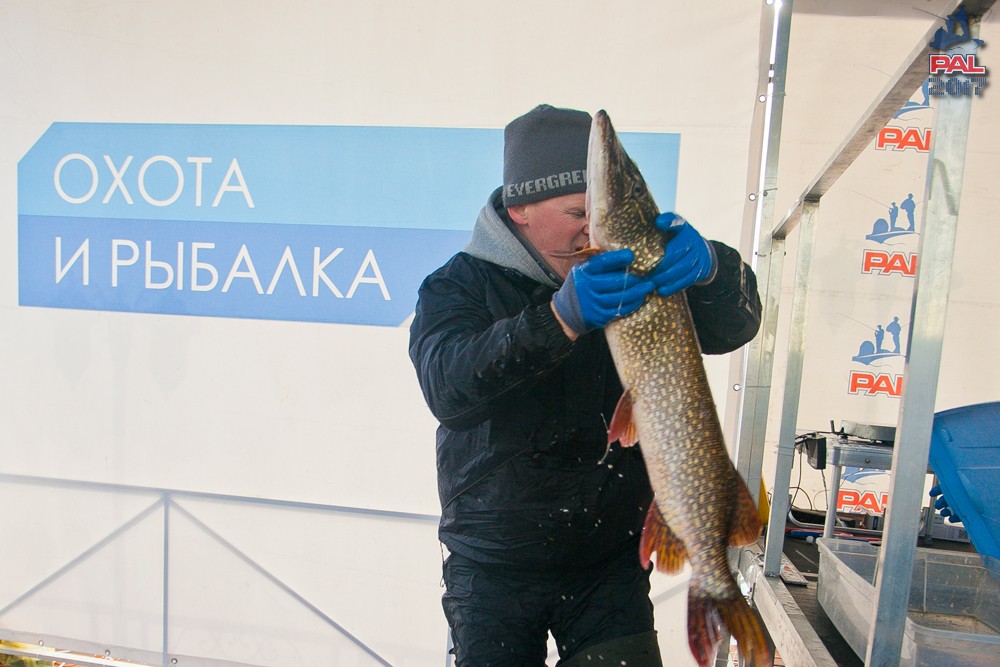 Дневник финального этапа турнира Pro Anglers League 2017. Галерея фото 56