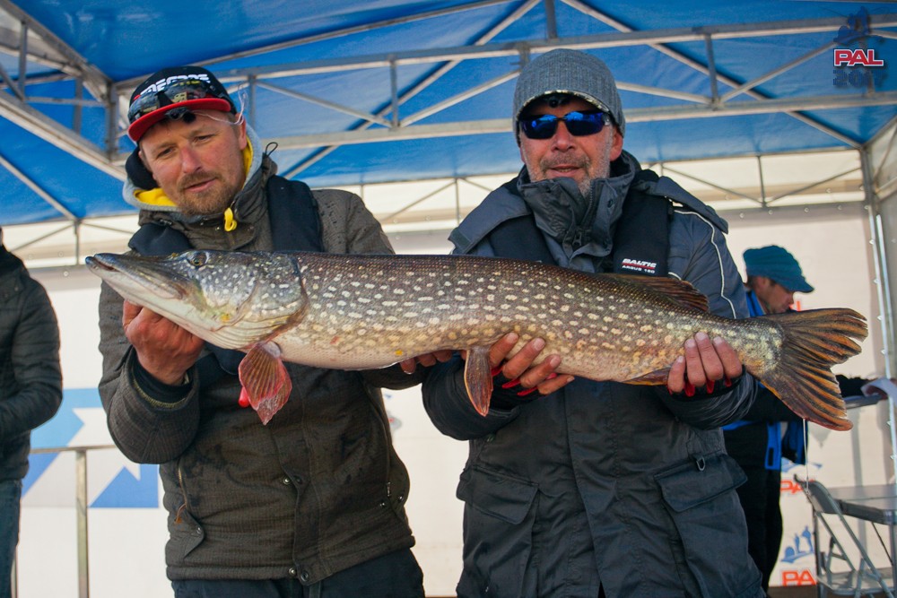 Дневник финального этапа турнира Pro Anglers League 2017. Галерея фото 110