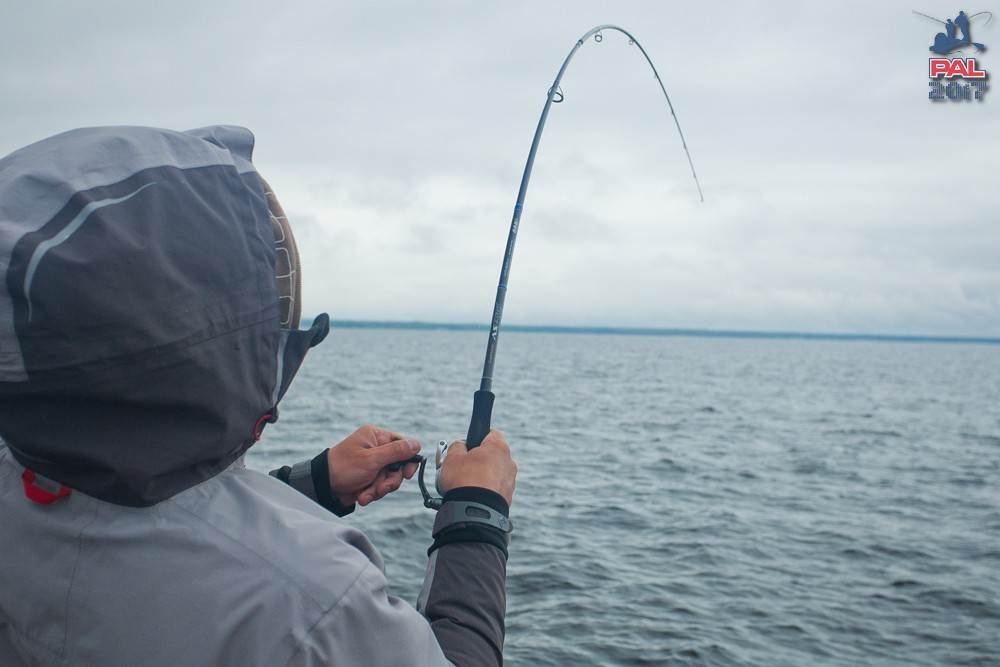 Дневник второго этапа турнира Pro Anglers League 2017. Галерея фото 27