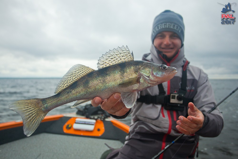 Дневник второго этапа турнира Pro Anglers League 2017. Галерея фото 35