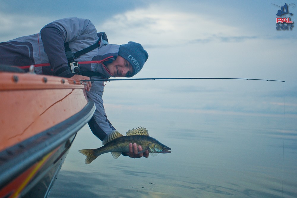 Дневник второго этапа турнира Pro Anglers League 2017. Галерея фото 38