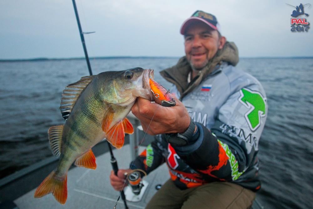 Дневник второго этапа турнира Pro Anglers League 2017. Галерея фото 68