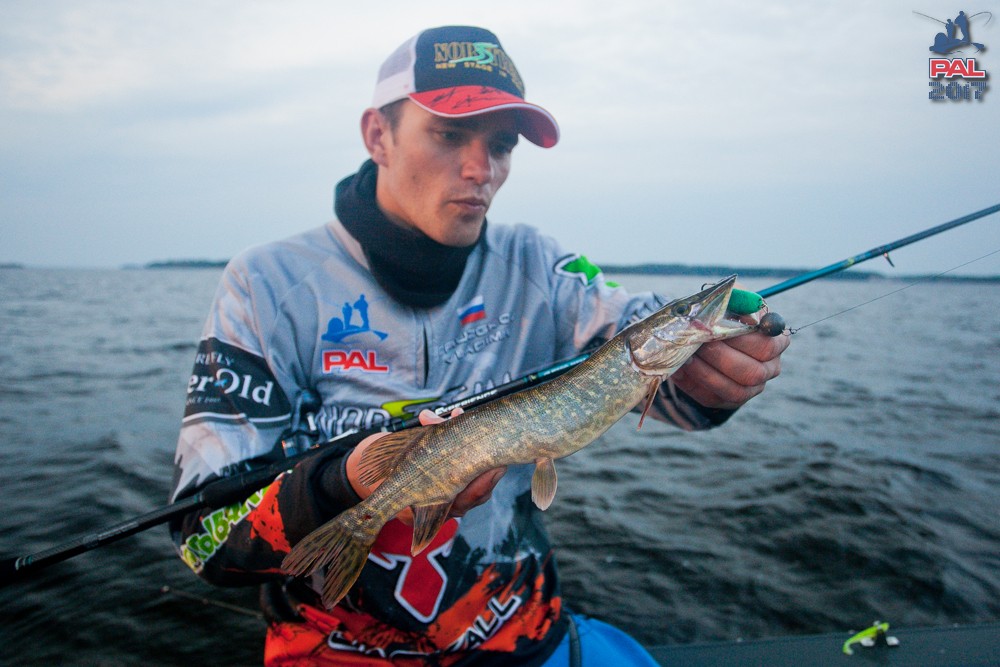 Дневник второго этапа турнира Pro Anglers League 2017. Галерея фото 75