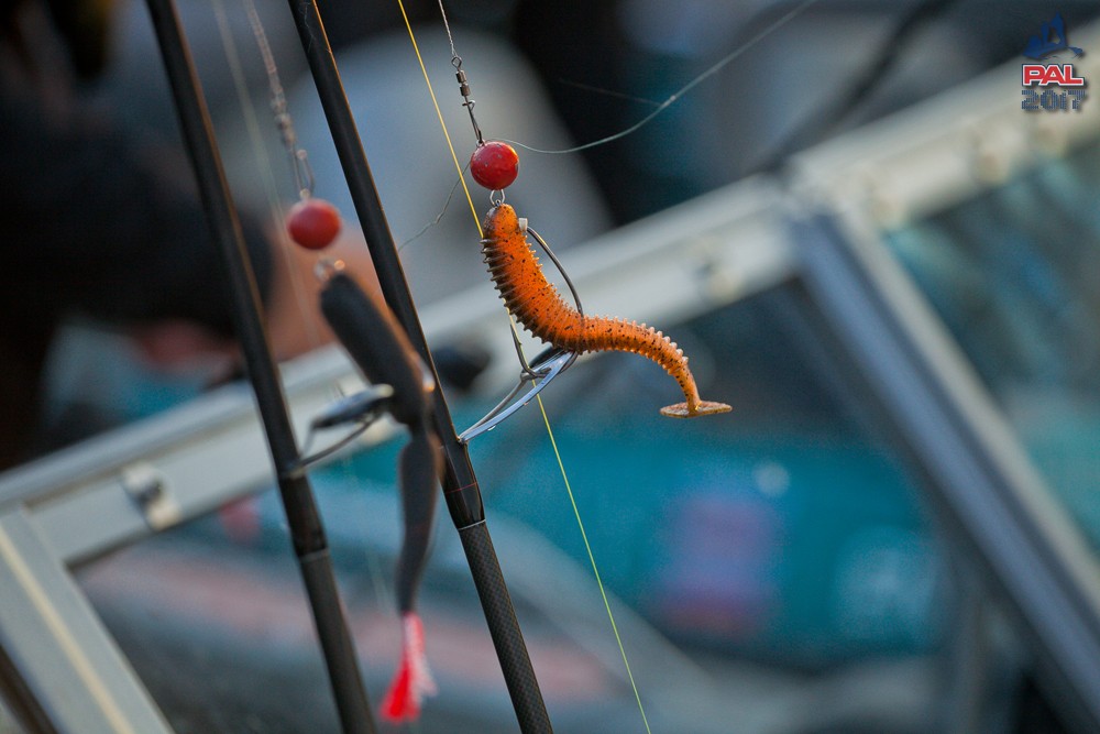 Дневник первого этапа турнира Pro Anglers League 2017. Галерея фото 13