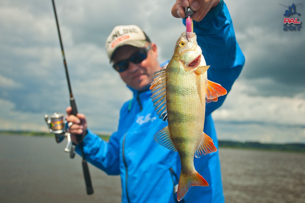 Дневник первого этапа турнира Pro Anglers League 2017. Галерея фото 12