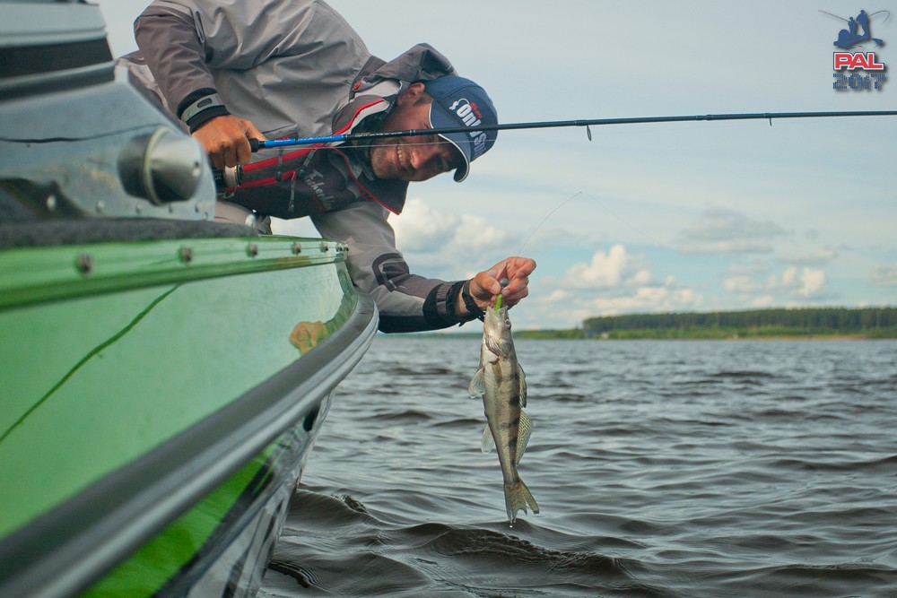 Дневник первого этапа турнира Pro Anglers League 2017. Галерея фото 28