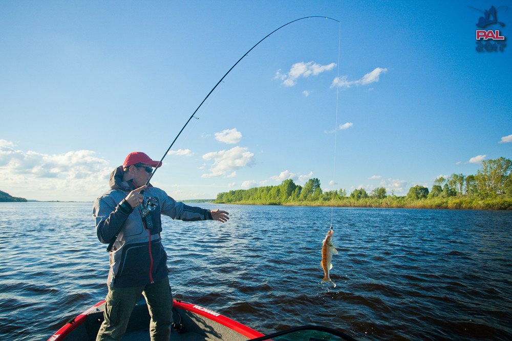 Дневник первого этапа турнира Pro Anglers League 2017. Галерея фото 30
