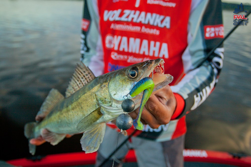 Дневник первого этапа турнира Pro Anglers League 2017. Галерея фото 38