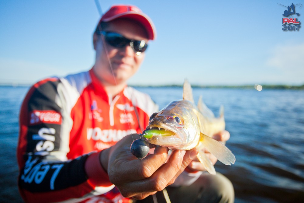 Дневник первого этапа турнира Pro Anglers League 2017. Галерея фото 40