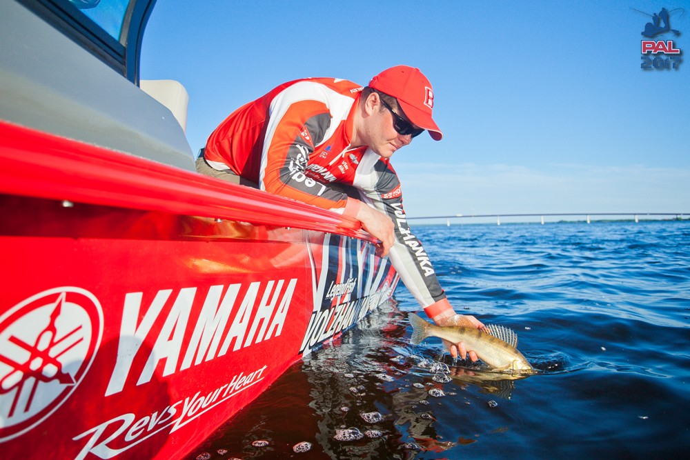 Дневник первого этапа турнира Pro Anglers League 2017. Галерея фото 41