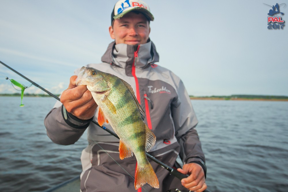Дневник первого этапа турнира Pro Anglers League 2017. Галерея фото 44