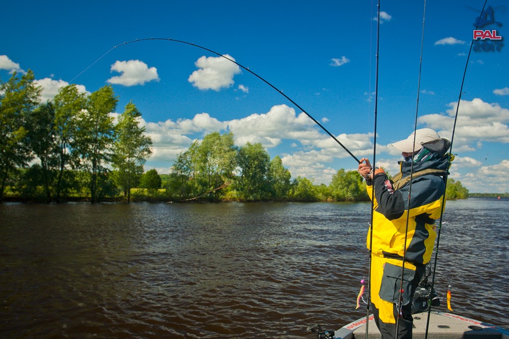 Дневник первого этапа турнира Pro Anglers League 2017. Галерея фото 52