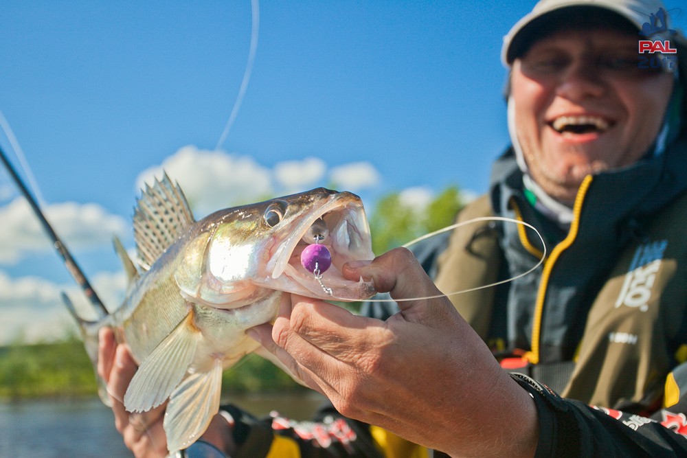 Дневник первого этапа турнира Pro Anglers League 2017. Галерея фото 63