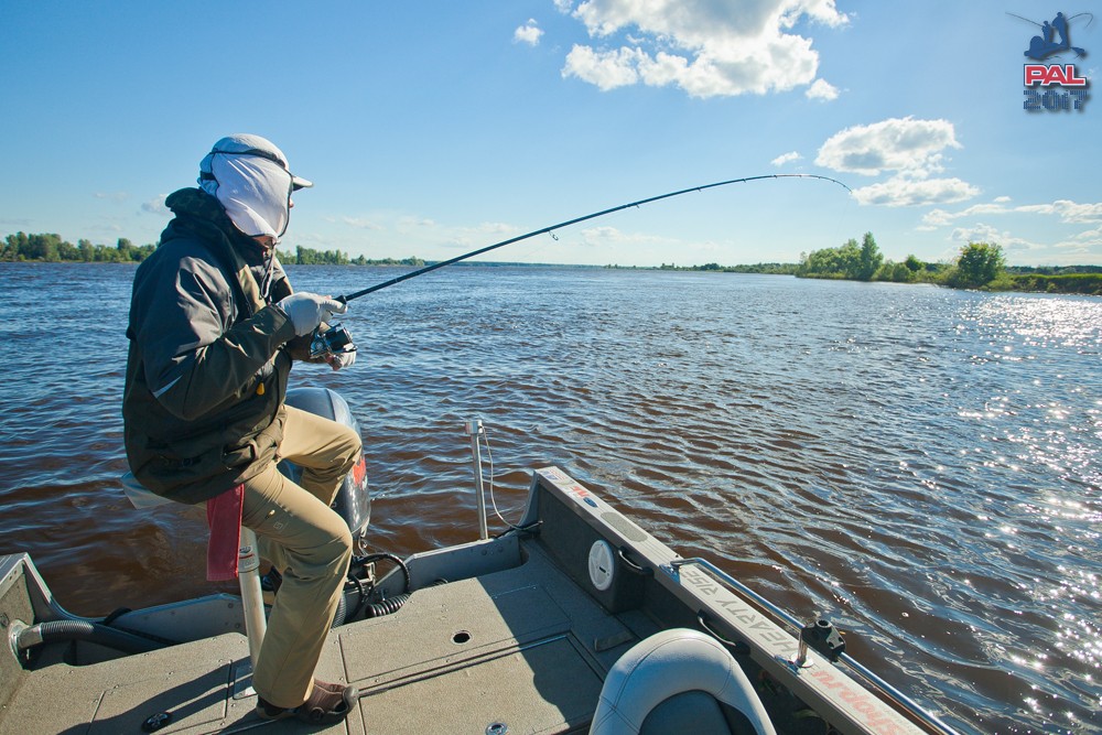 Дневник первого этапа турнира Pro Anglers League 2017. Галерея фото 66