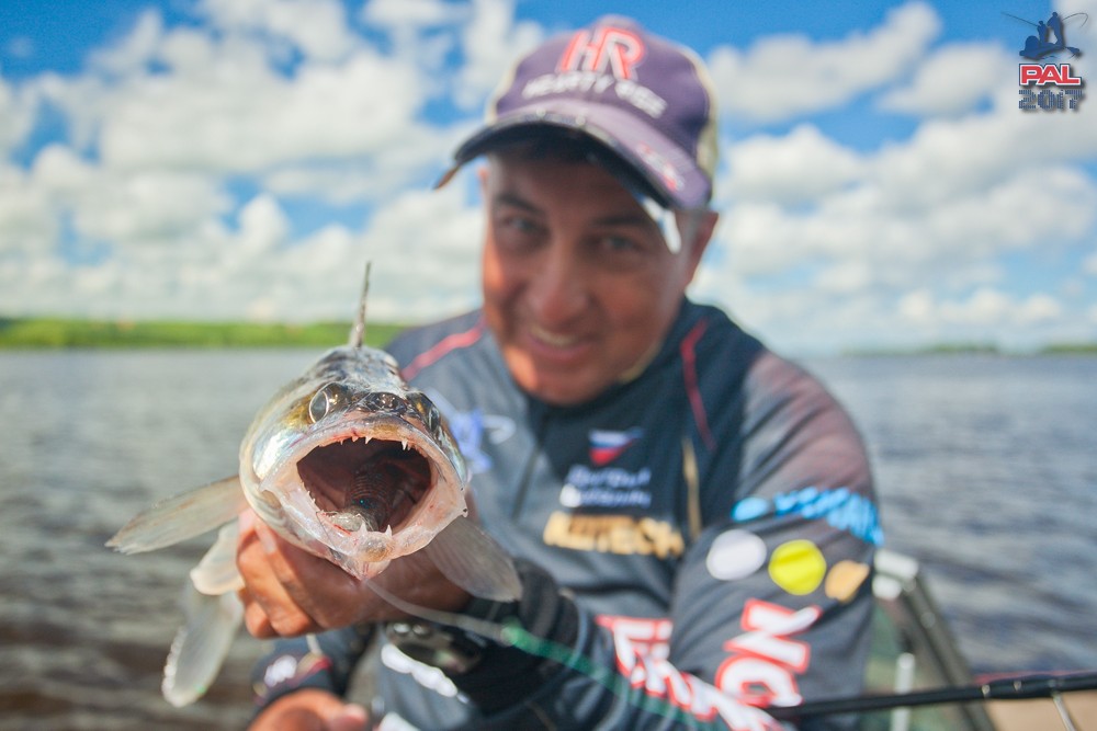 Дневник первого этапа турнира Pro Anglers League 2017. Галерея фото 72