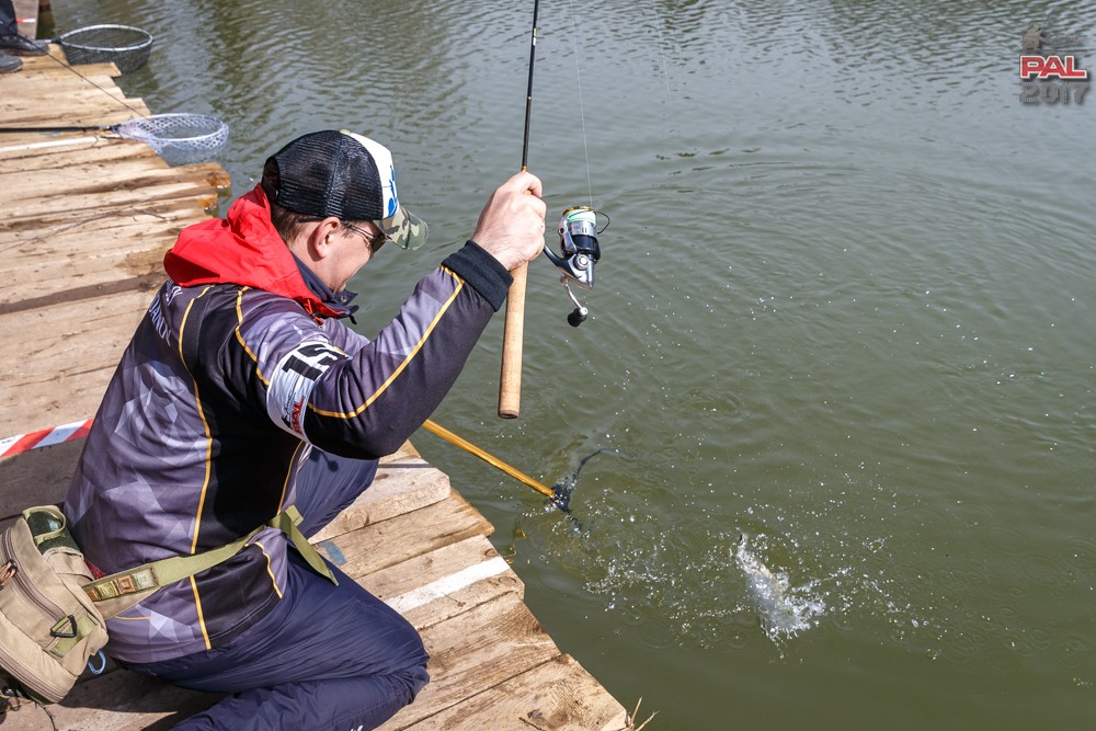 Дневник весеннего турнира Pro Anglers League Trout 2017. Галерея фото 27