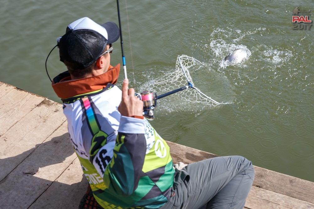 Дневник весеннего турнира Pro Anglers League Trout 2017. Галерея фото 32