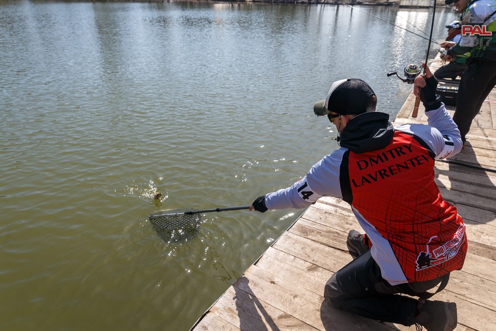 Дневник весеннего турнира Pro Anglers League Trout 2017. Галерея фото 38