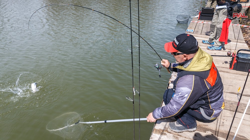 Дневник весеннего турнира Pro Anglers League Trout 2017. Галерея фото 45