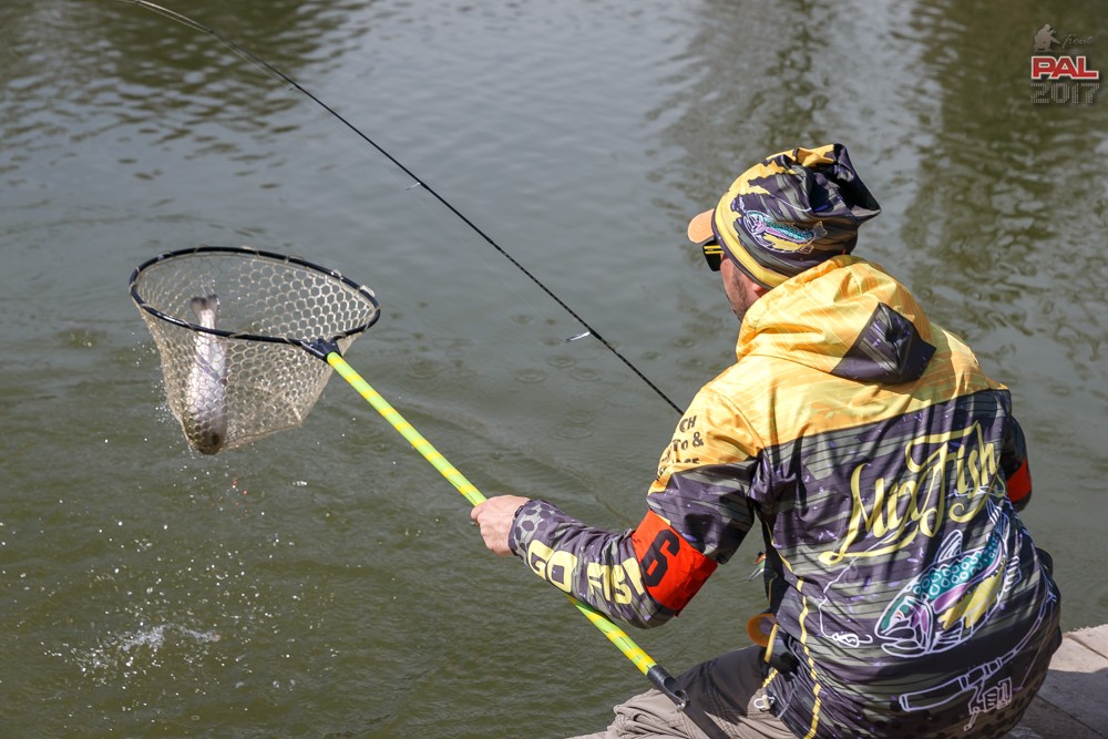 Дневник весеннего турнира Pro Anglers League Trout 2017. Галерея фото 54