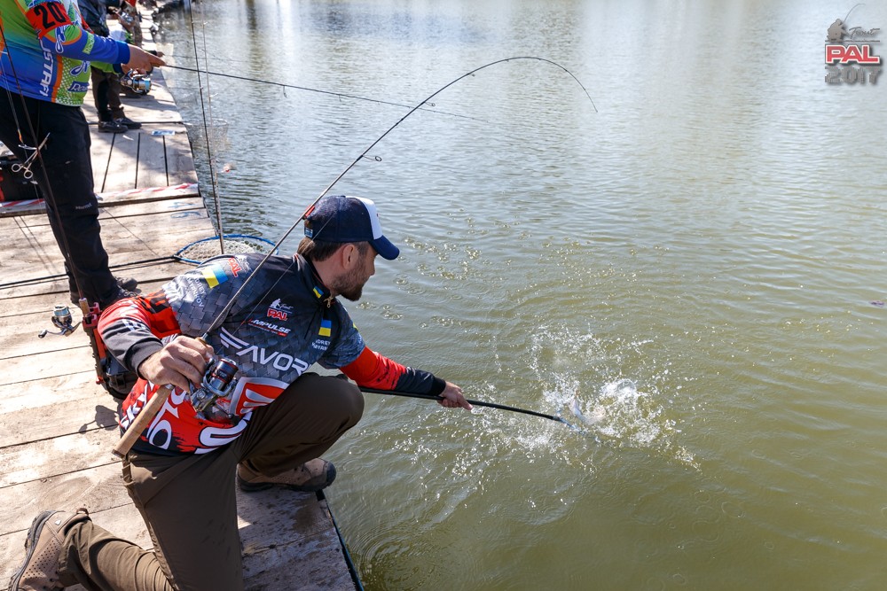 Дневник весеннего турнира Pro Anglers League Trout 2017. Галерея фото 21