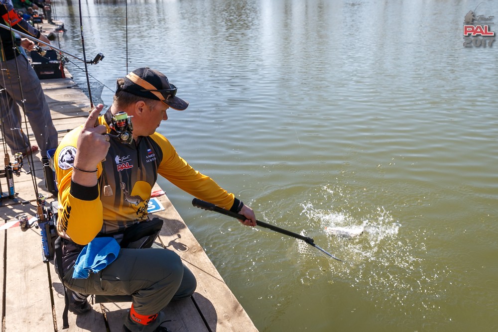 Дневник весеннего турнира Pro Anglers League Trout 2017. Галерея фото 24
