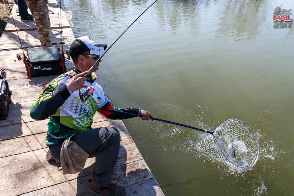 Дневник весеннего турнира Pro Anglers League Trout 2017. Галерея фото 29