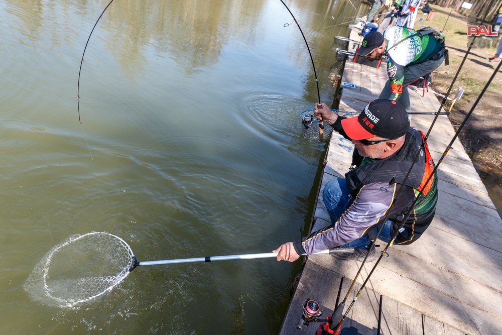 Дневник весеннего турнира Pro Anglers League Trout 2017. Галерея фото 33