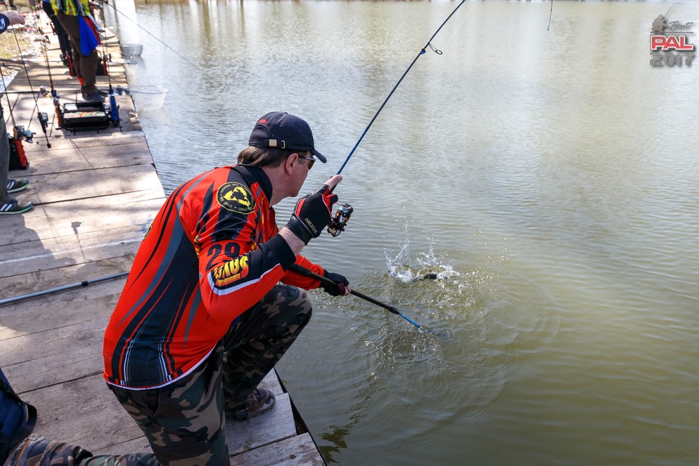 Дневник весеннего турнира Pro Anglers League Trout 2017. Галерея фото 53