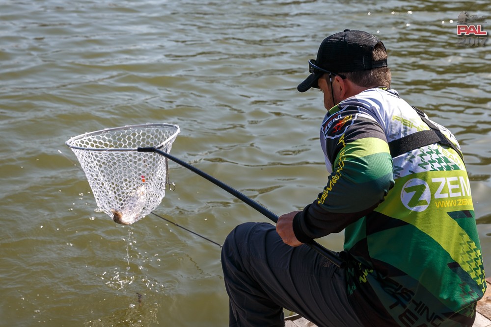 Дневник весеннего турнира Pro Anglers League Trout 2017. Галерея фото 7