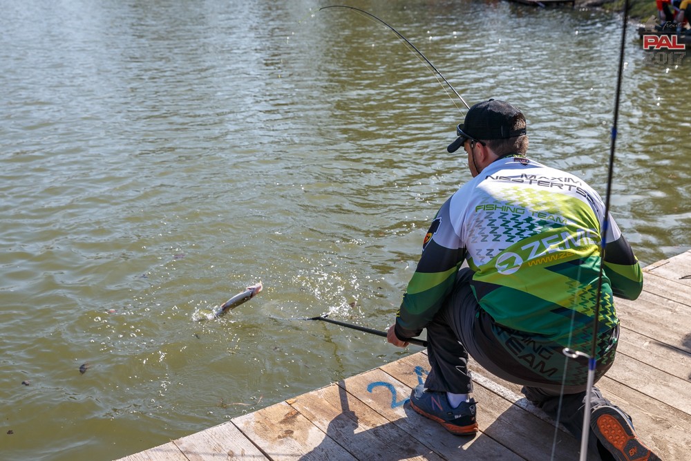 Дневник весеннего турнира Pro Anglers League Trout 2017. Галерея фото 27