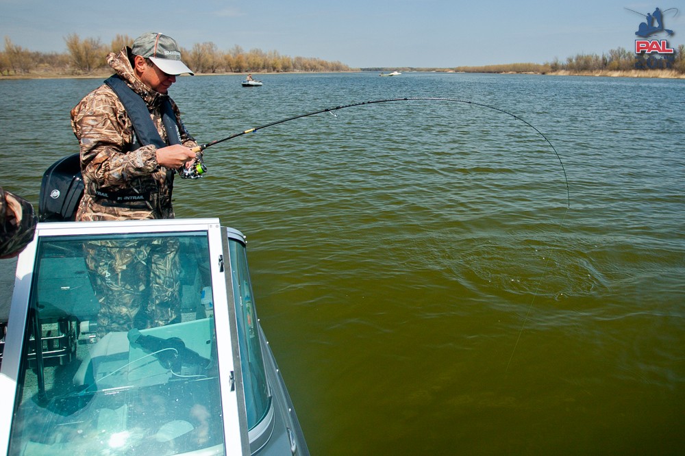 Дневник отборочного этапа турнира Pro Anglers League 2017. Галерея фото 2