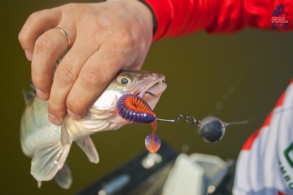 Дневник отборочного этапа турнира Pro Anglers League 2017. Галерея фото 30