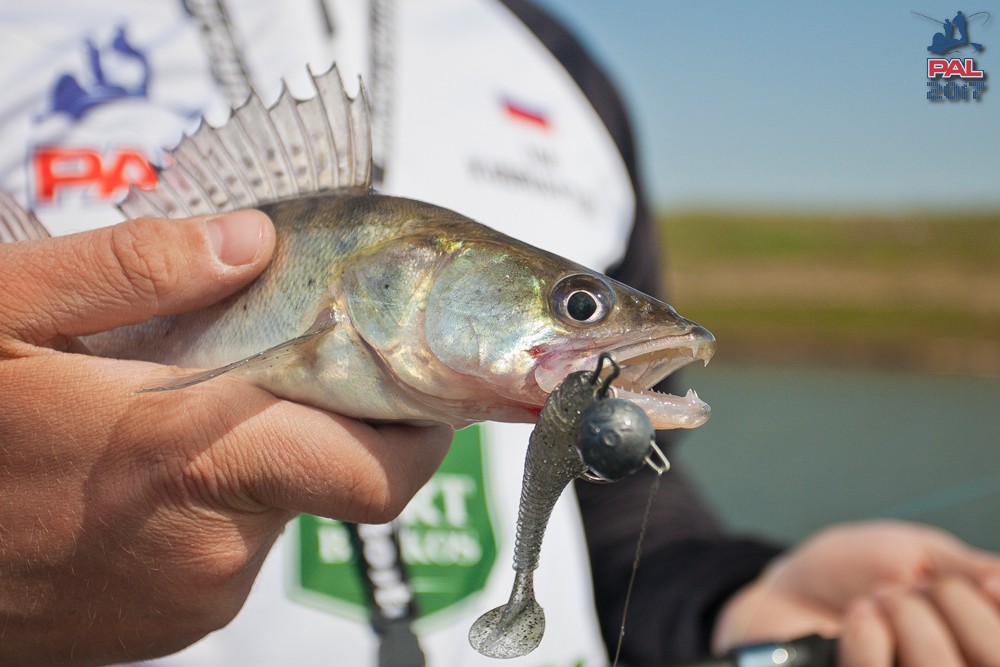 Дневник отборочного этапа турнира Pro Anglers League 2017. Галерея фото 32