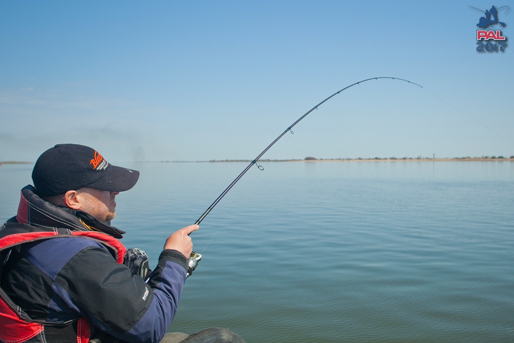 Дневник отборочного этапа турнира Pro Anglers League 2017. Галерея фото 58