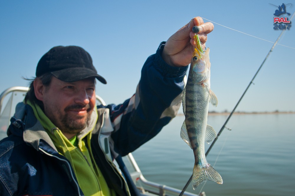 Дневник отборочного этапа турнира Pro Anglers League 2017. Галерея фото 60