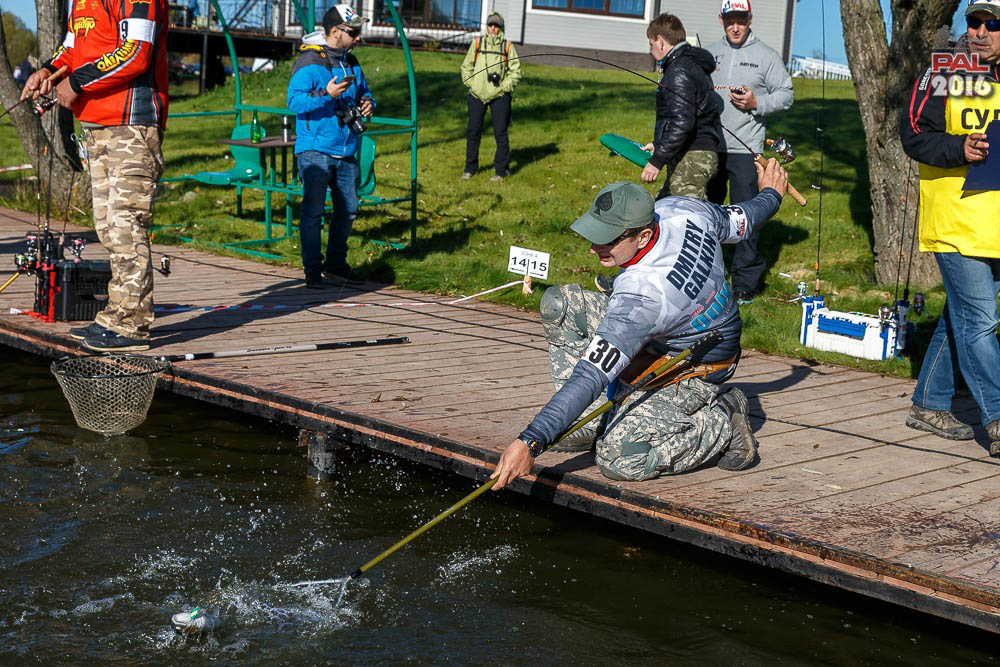 Дневник осеннего турнира Pro Anglers League Trout 2016. Галерея фото 15