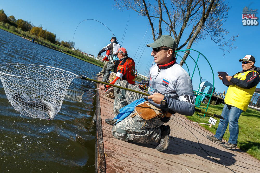 Дневник осеннего турнира Pro Anglers League Trout 2016. Галерея фото 16