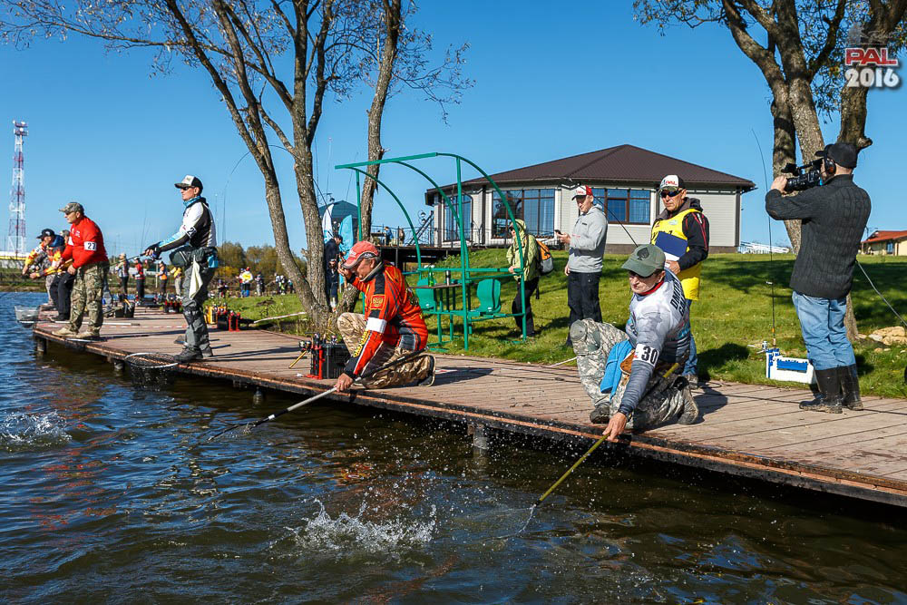 Дневник осеннего турнира Pro Anglers League Trout 2016. Галерея фото 18