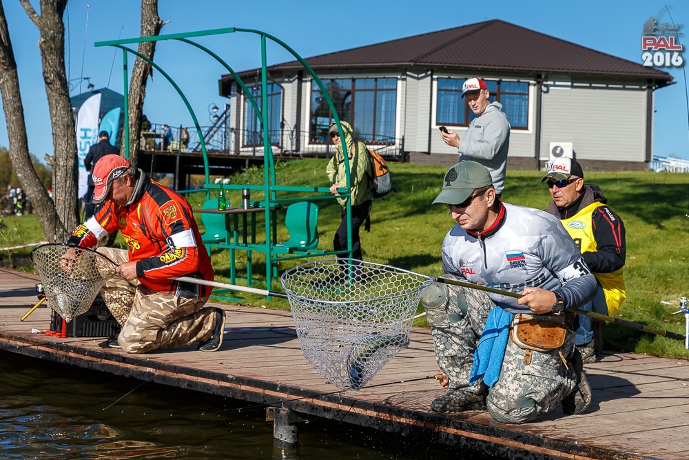 Дневник осеннего турнира Pro Anglers League Trout 2016. Галерея фото 19