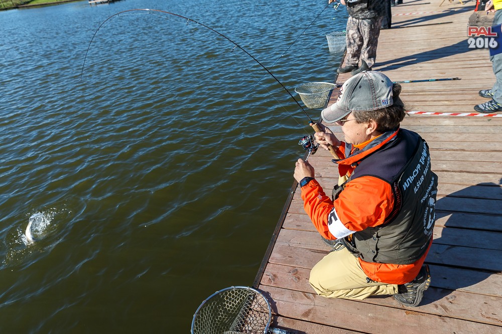 Дневник осеннего турнира Pro Anglers League Trout 2016. Галерея фото 20