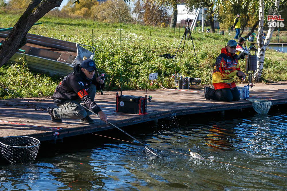 Дневник осеннего турнира Pro Anglers League Trout 2016. Галерея фото 23