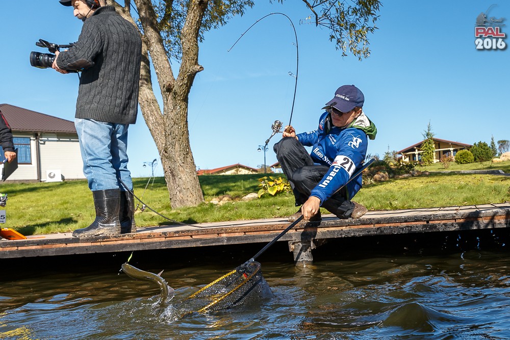 Дневник осеннего турнира Pro Anglers League Trout 2016. Галерея фото 25